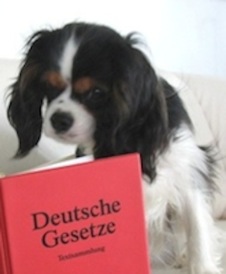 emmagesetz